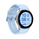 Samsung Galaxy Watch FE Silver