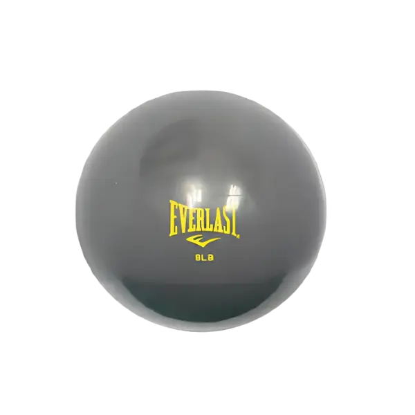 Mini Pelota De Gimnasio Everlast