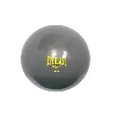 Mini Pelota De Gimnasio Everlast