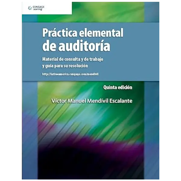 Libro Práctica elemental de auditoría