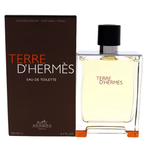 Colonia Terre Hermes 200 ML