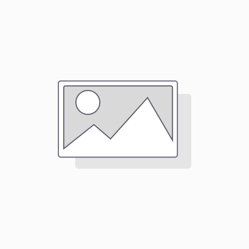 Kingston memoria microSDXC 128 GB canvas go plus gen4 200MB/s A2 U3 V30 card + ADP - SDCG4/128GB
