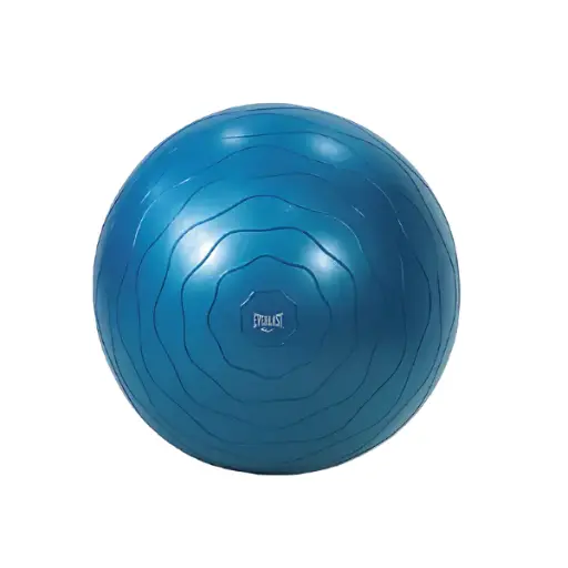 Pelota De Gimnasio Antiexplosión Everlast