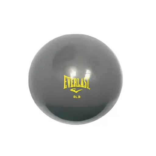 Mini Pelota De Gimnasio Everlast