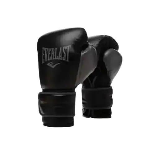 Guante Boxeo Everlast Powerlock V2 Black