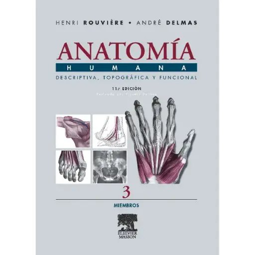 Libro Anatomía Humana Descriptiva, Topográfica Y Funcional. Tomo 3. Miembros