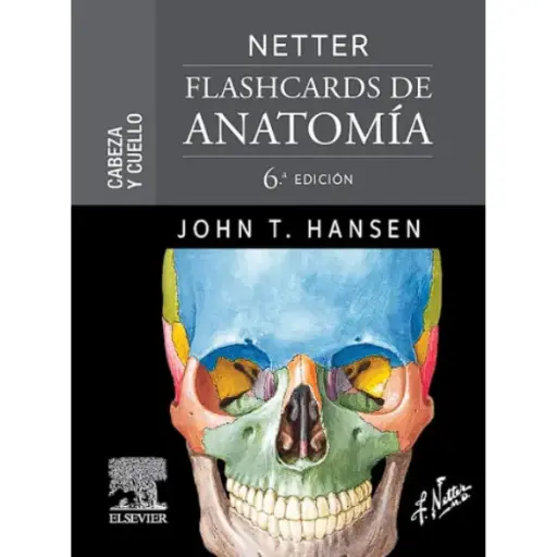 Libro Netter Flashcards de anatomía. Cabeza y cuello