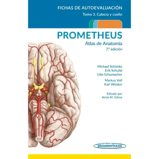 Libro PROMETHEUS. Atlas de Anatomía. Fichas De Autoevaluación. Cabeza Y Cuello / 7.ª Edición. / Tomo 3