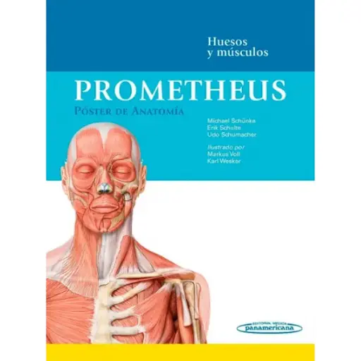 Libro Prometheus. Póster de Anatomía